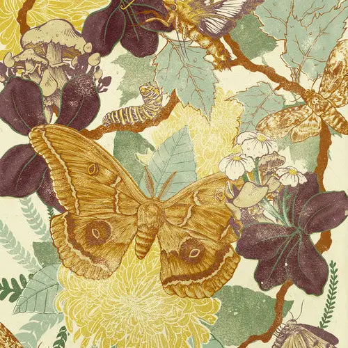 Moth Giclee Print
