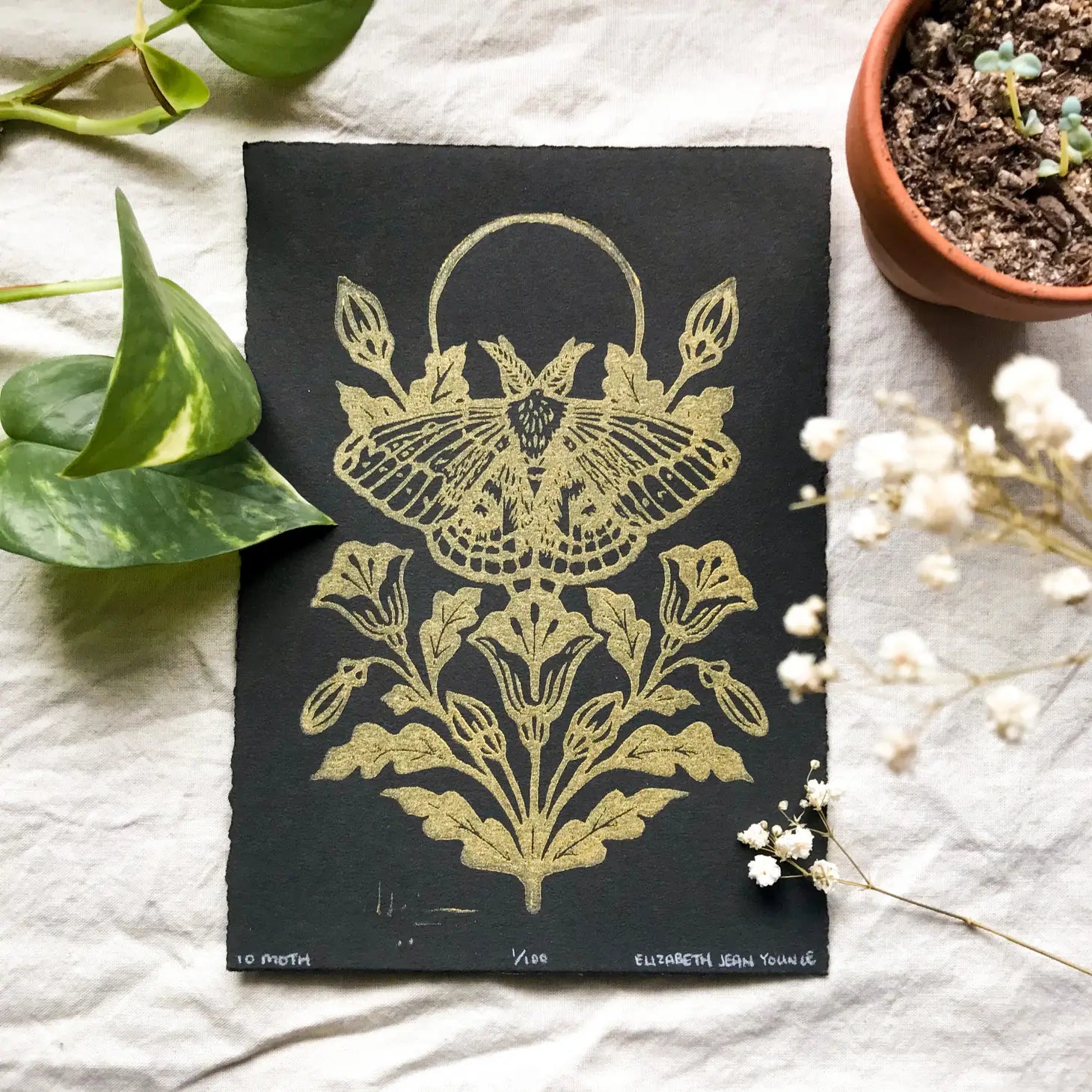 Moth + Poppies Linocut Print