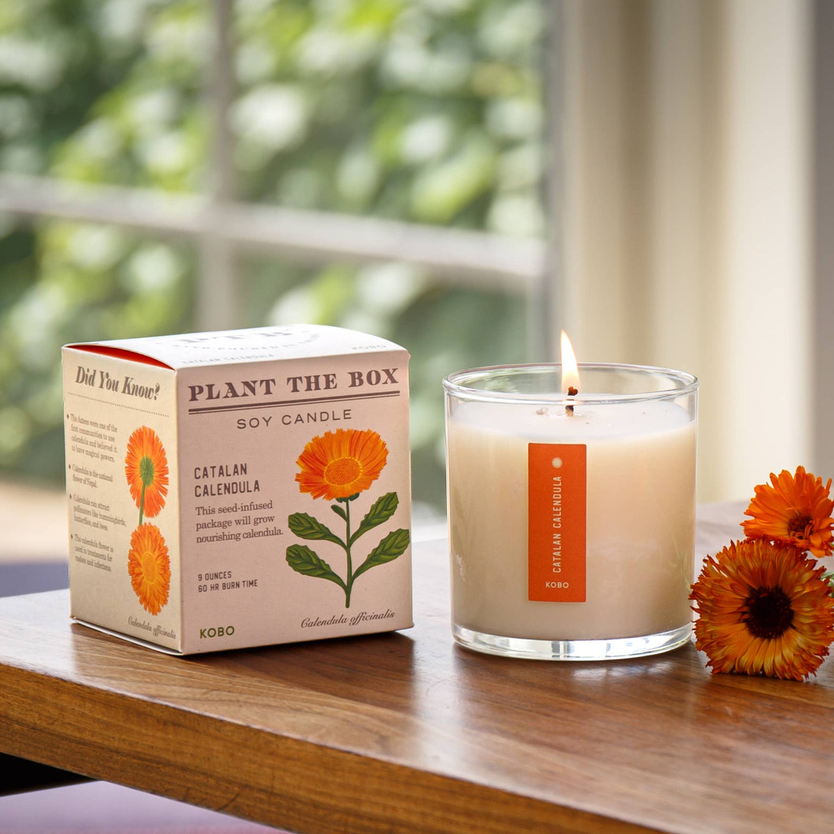 Catalan Calendula Candle-thumbmail-1