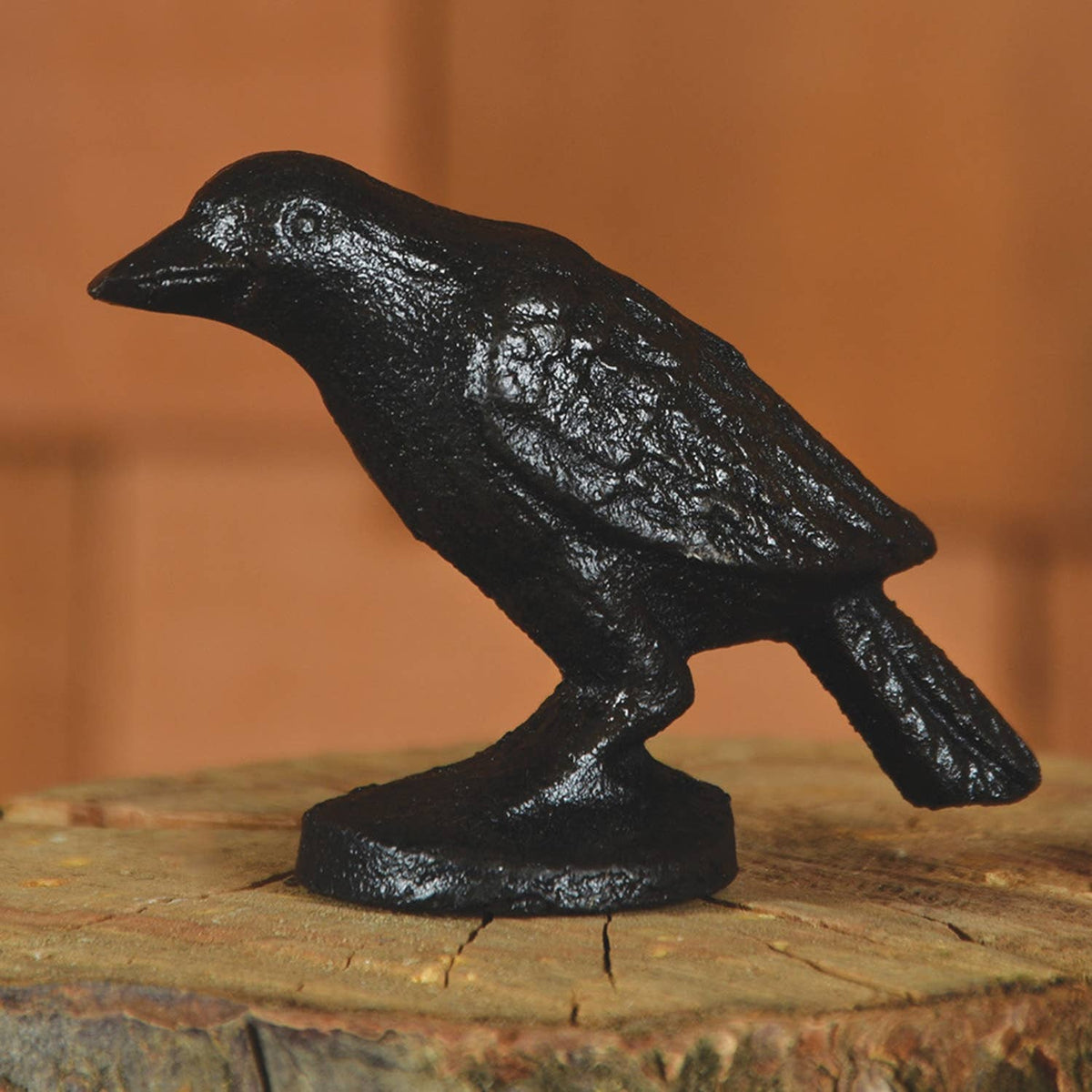Cast Iron Crow