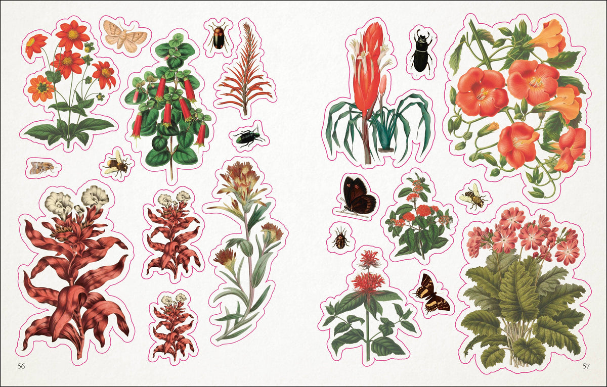 Botanist's Sticker Anthology-thumbmail-5