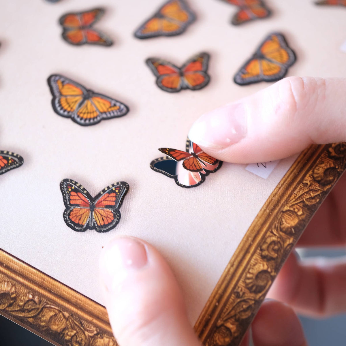 Micro Monarch Butterfly Collection-thumbmail-1