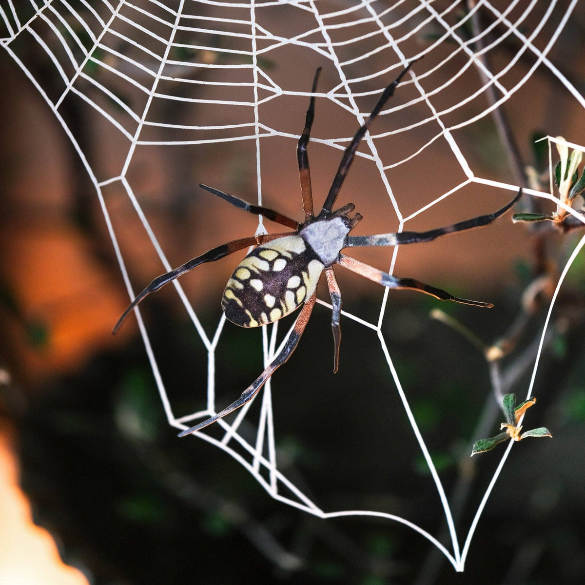 Halloween 'Weaver' Spiderweb & Spider Paper Set-thumbmail-3
