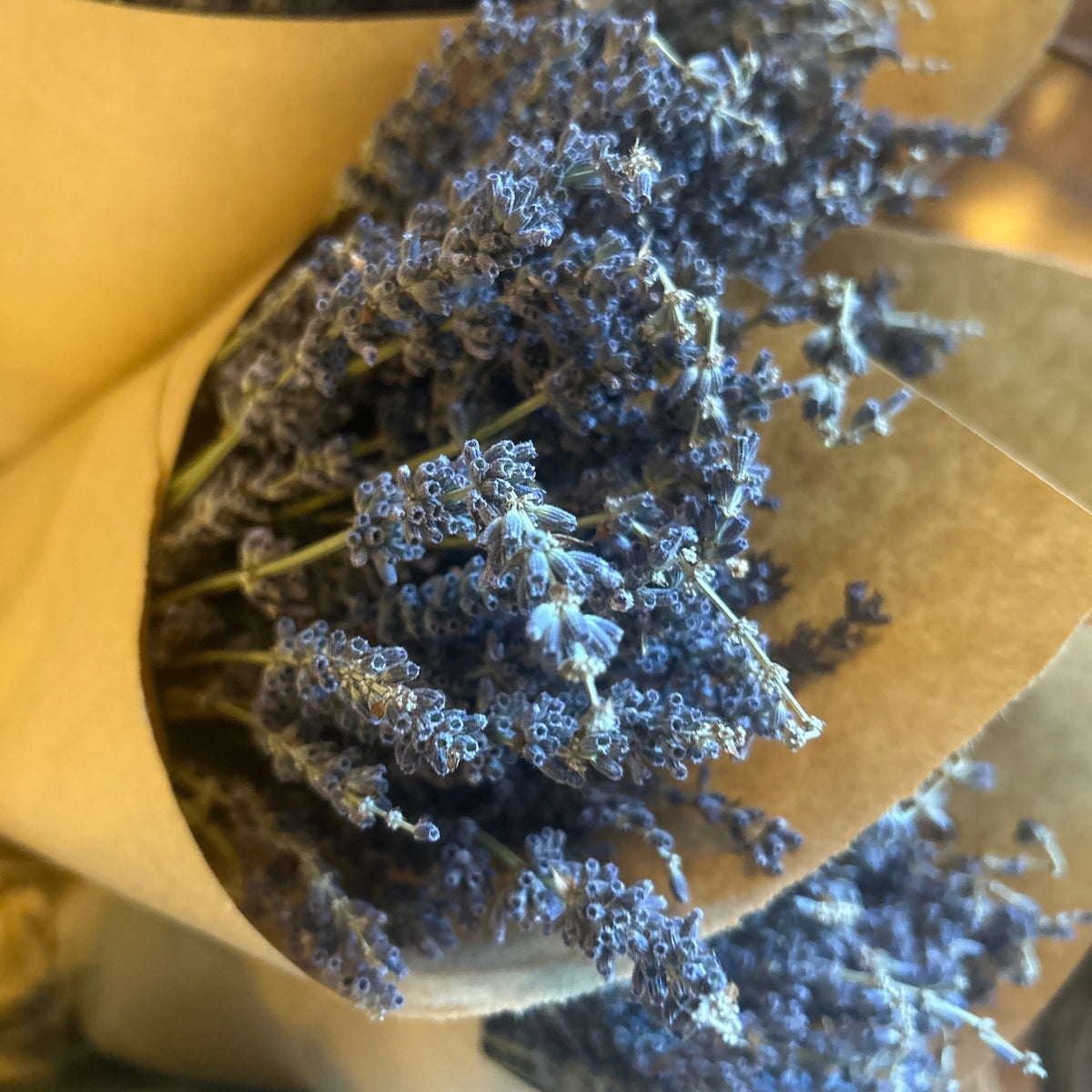 Dried Lavender Bundle-thumbmail-1