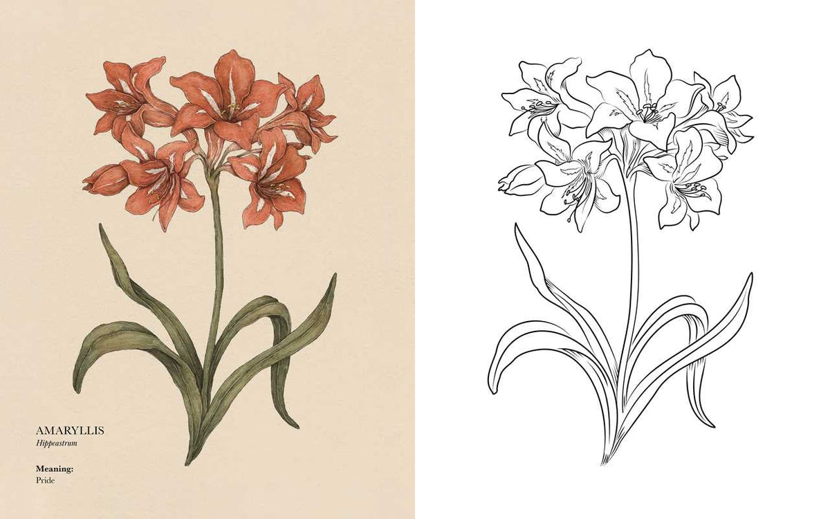 Floriography Coloring Book-thumbmail-3