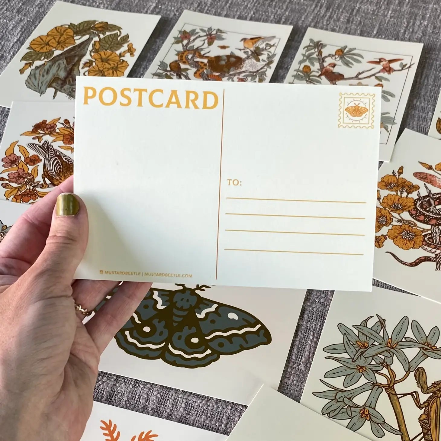 Mustard Beetle Postcard Set