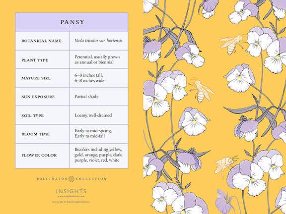 Botanical Stationary Set-thumbmail-9
