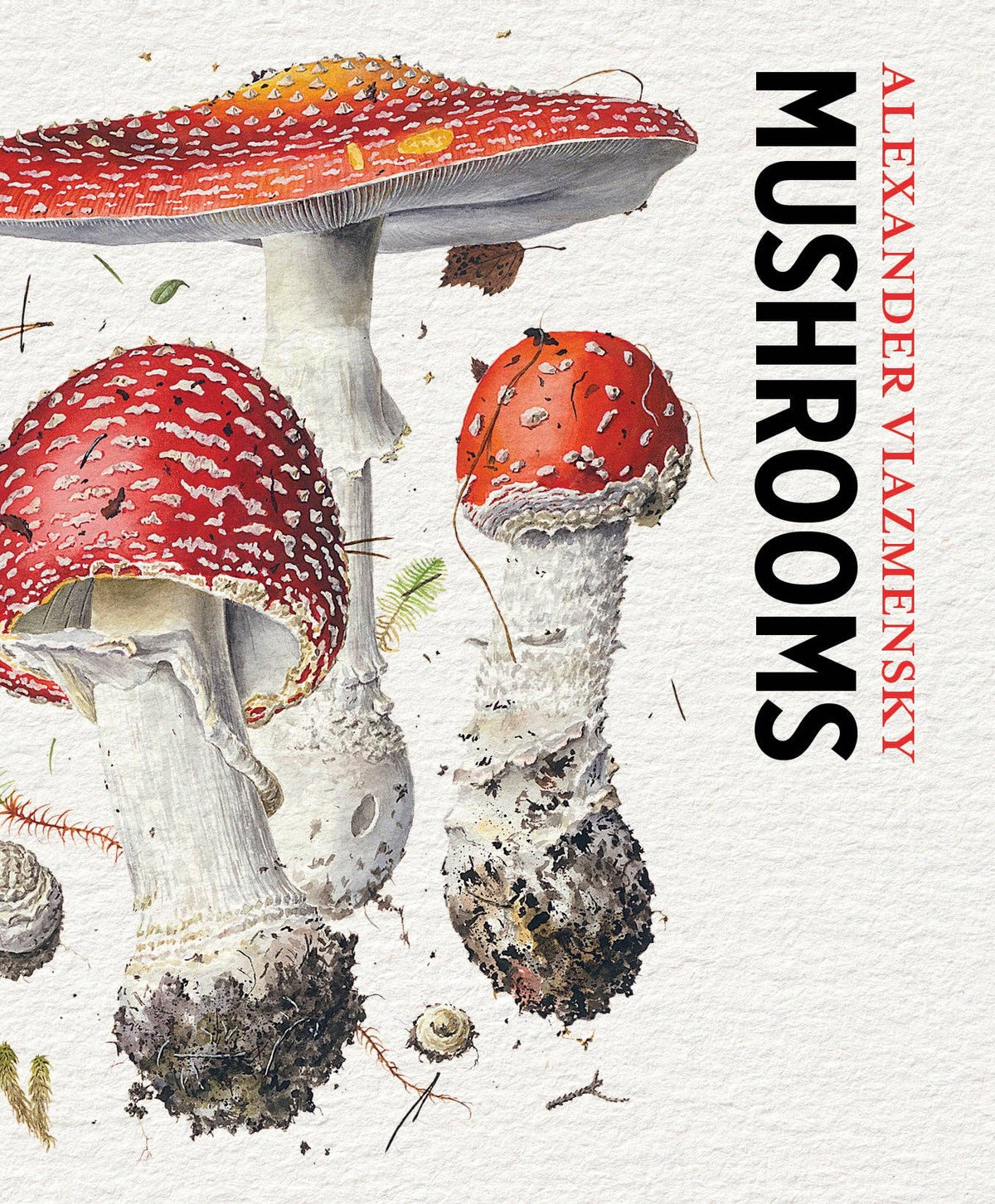 Mushroom Knowledge Cards