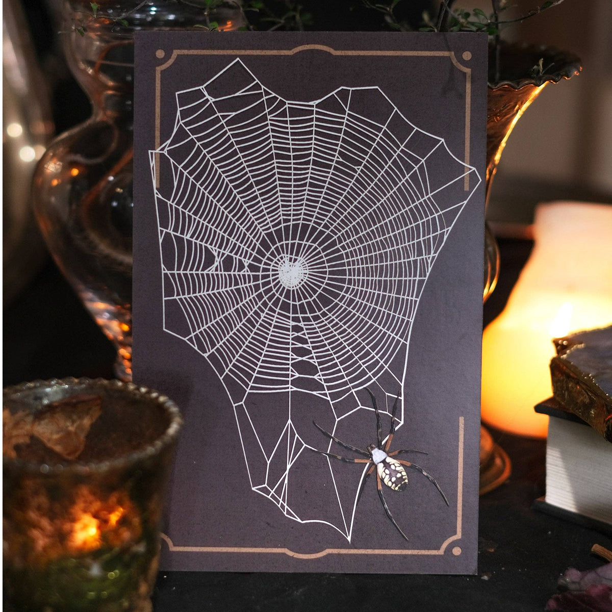 Halloween 'Weaver' Spiderweb & Spider Paper Set-thumbmail-1