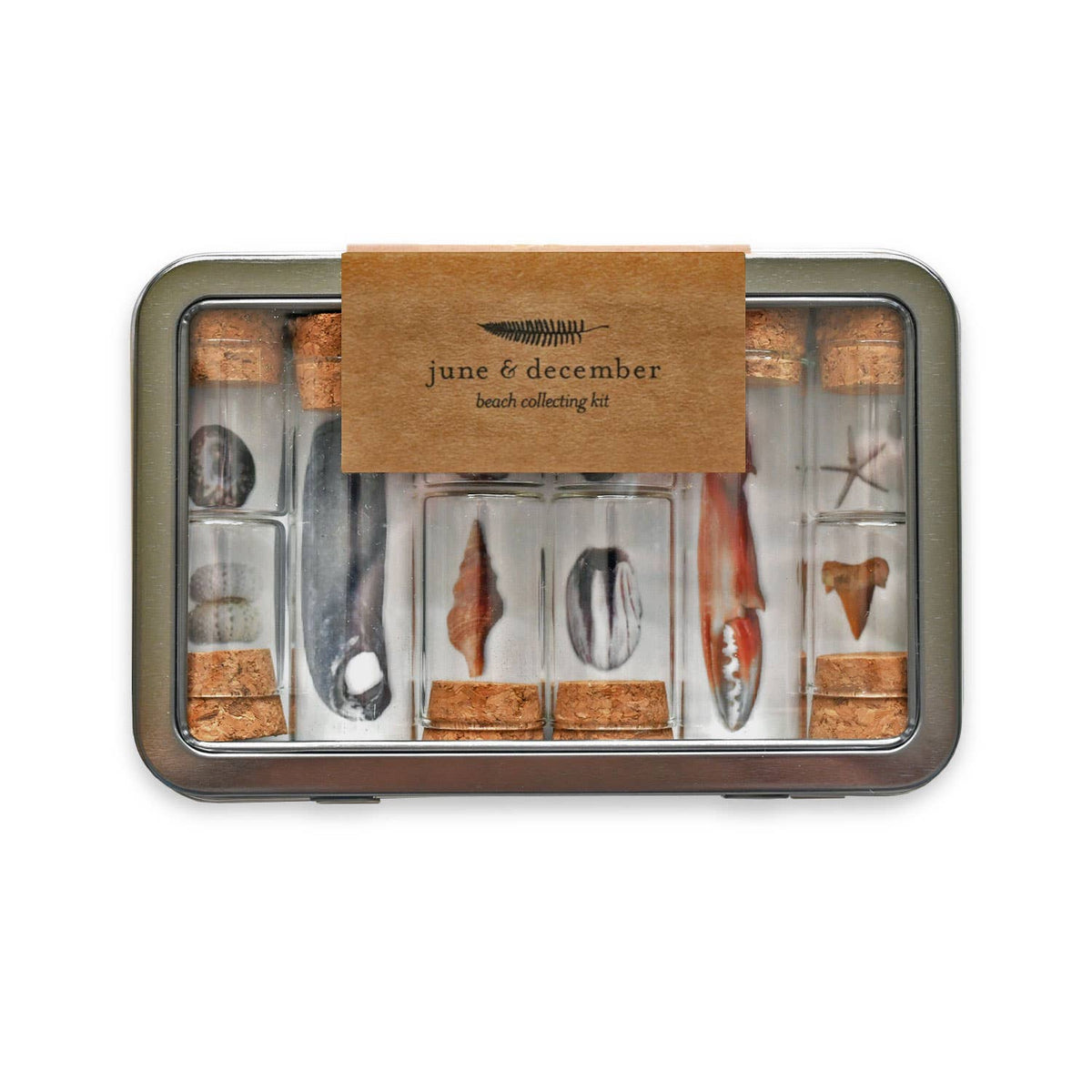 Specimin Collecting Kits-thumbmail-3