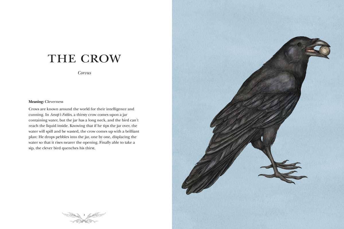 Ornithography by Jessica Roux-thumbmail-3
