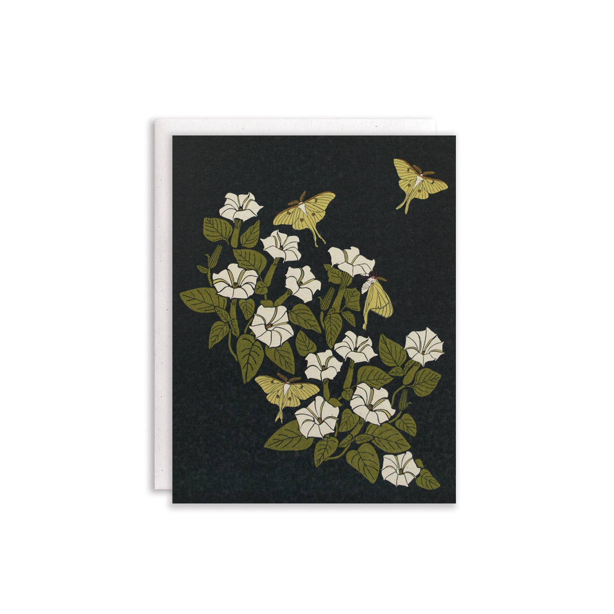 Luna Moon + Moth / Boxed Cards Set