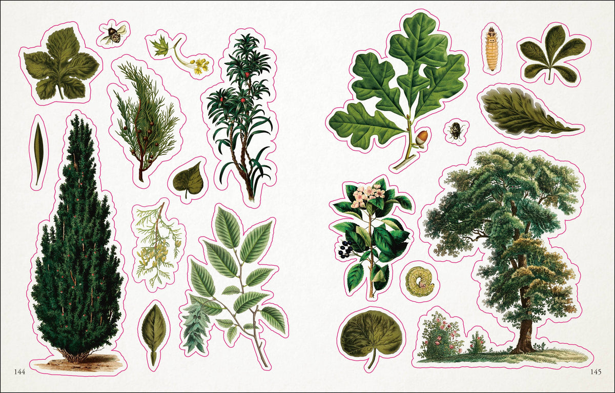 Botanist's Sticker Anthology-thumbmail-8