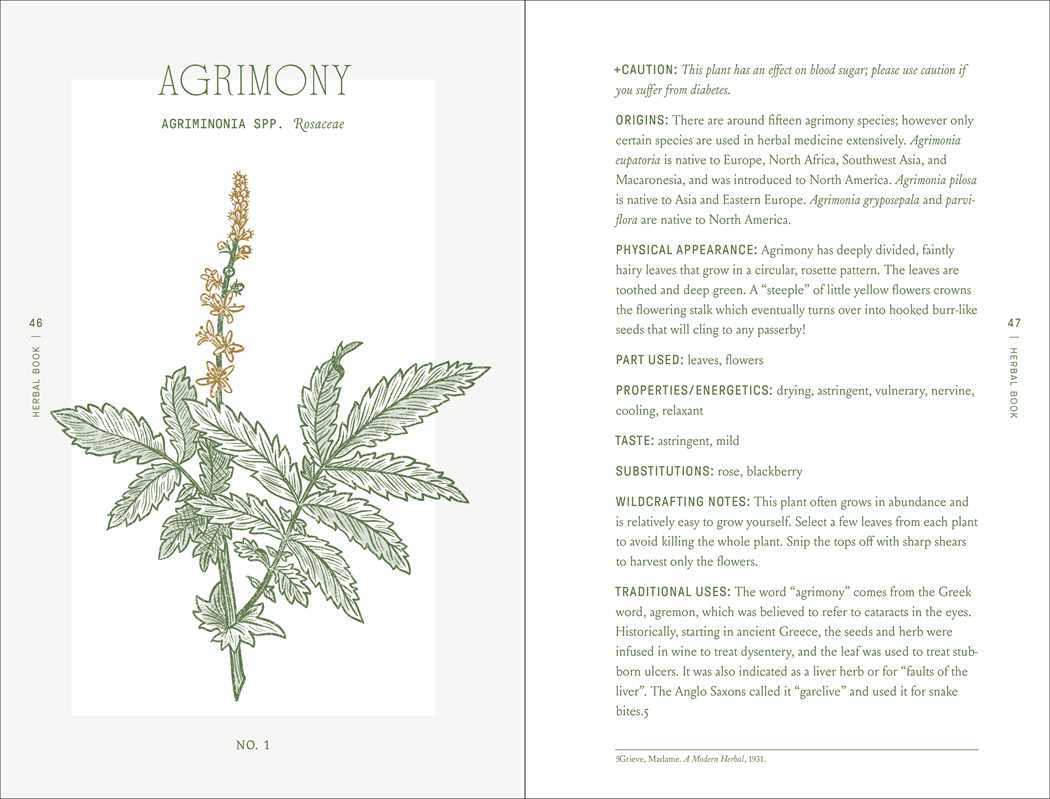 Complete Folk Herbal by Rebecca Beyer-thumbmail-4