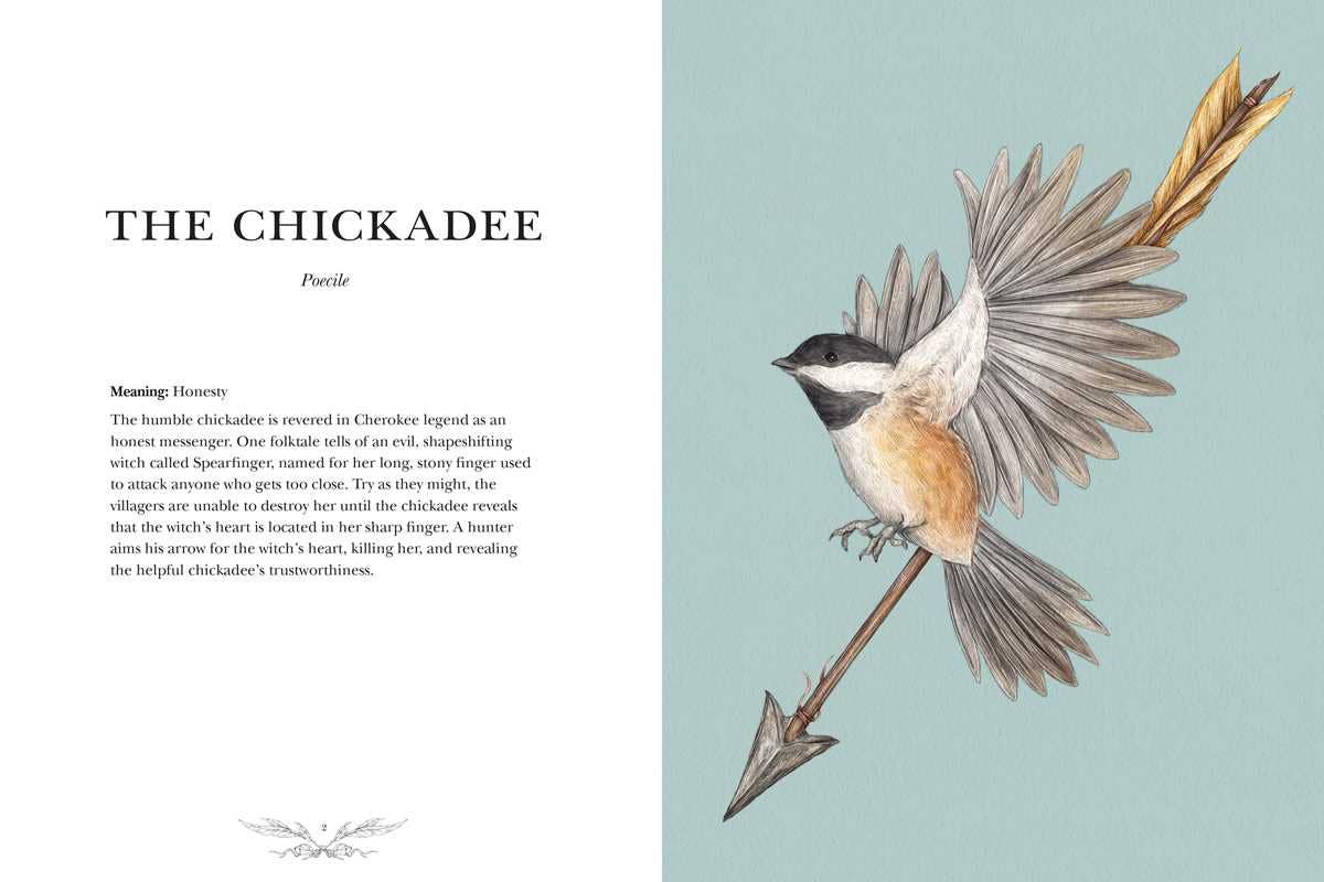 Ornithography by Jessica Roux-thumbmail-2