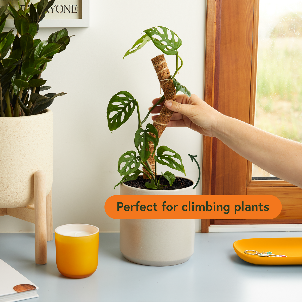 Coconut Coir Bendable Plant Growth Pole-thumbmail-1