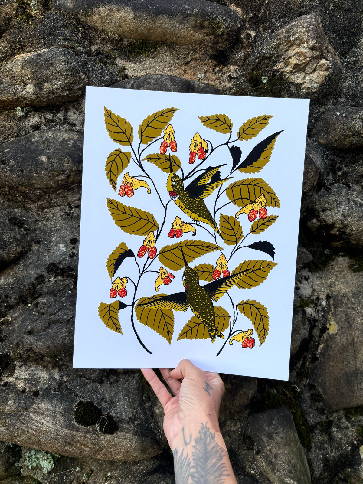 Jewelweed - 14x11 Print-thumbmail-1