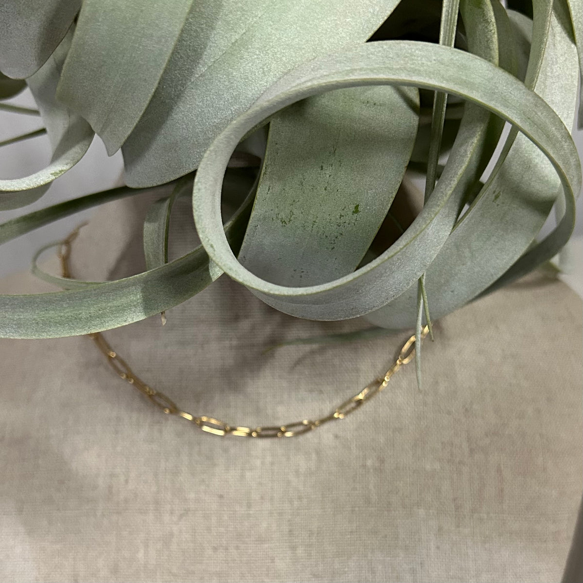 Chain Link Necklace-thumbmail-2
