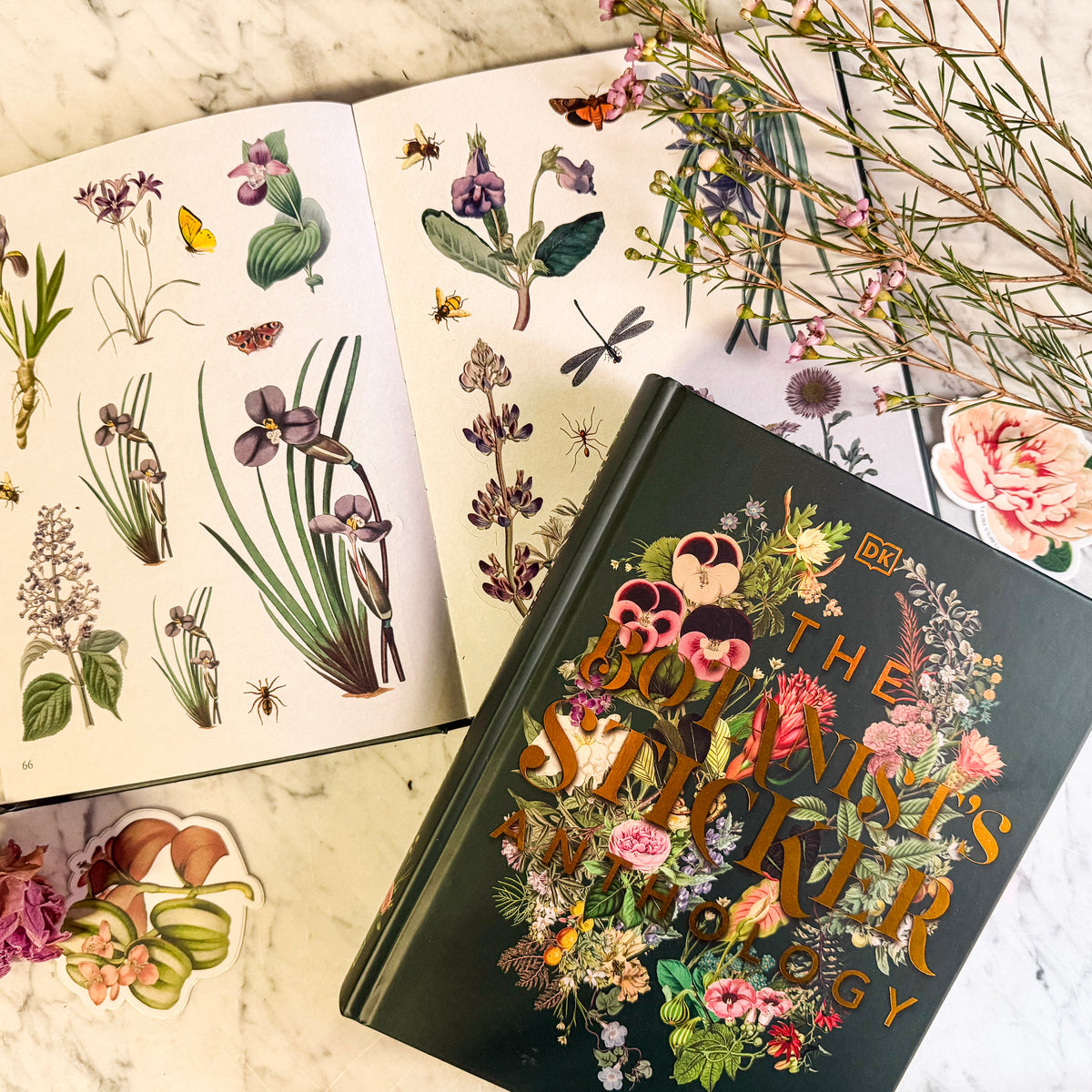 Botanist's Sticker Anthology-thumbmail-2
