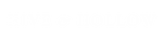 Hive + Hollow