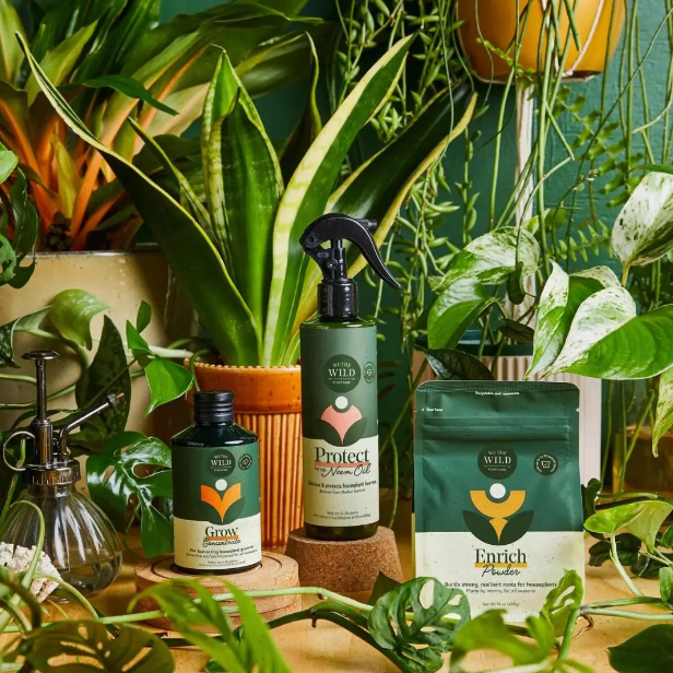 Houseplant Essentials Kit-thumbmail-1