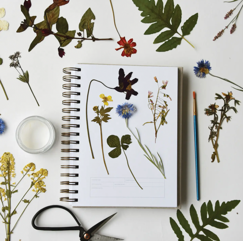 Herbarium Journal-thumbmail-1