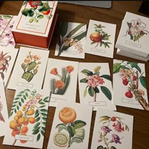 Botanical Postcards - Set of 100-thumbmail-2