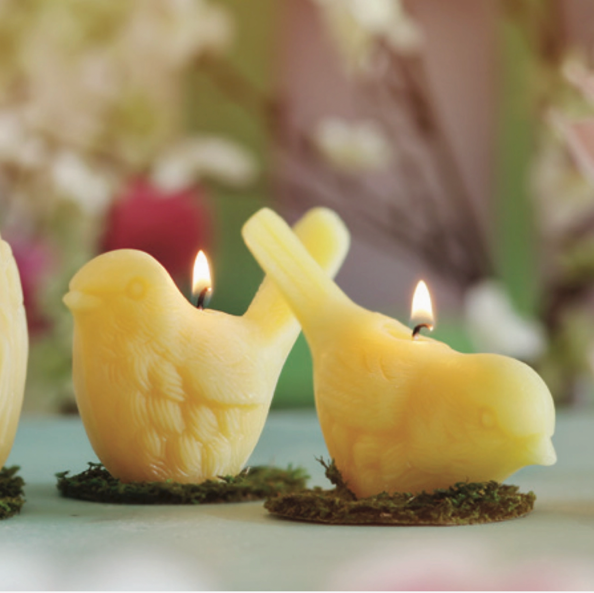 Song Bird Beeswax Candles-thumbmail-1