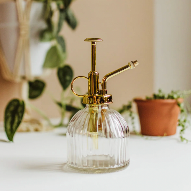Glass Plant Mister-thumbmail-1
