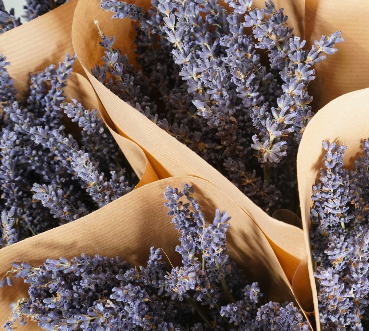 Dried Lavender Bundle-thumbmail-2