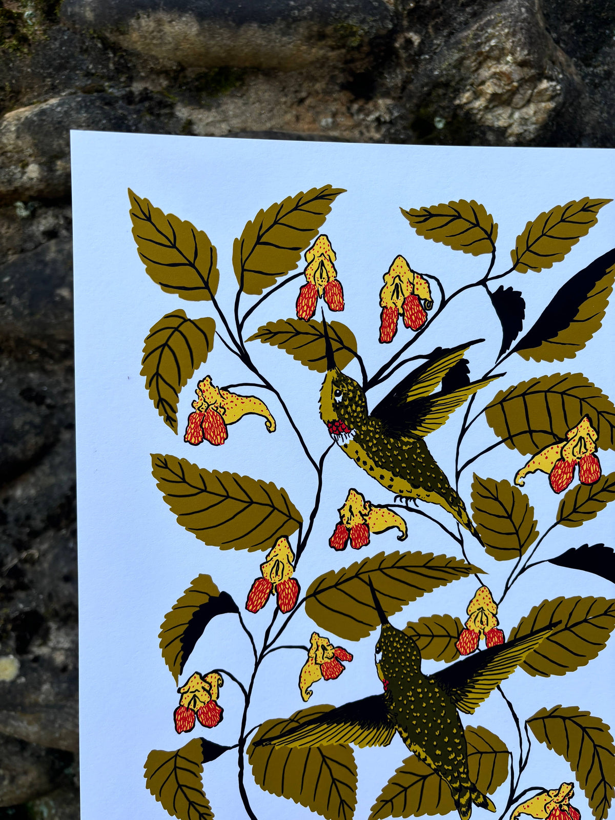 Jewelweed - 14x11 Print-thumbmail-3