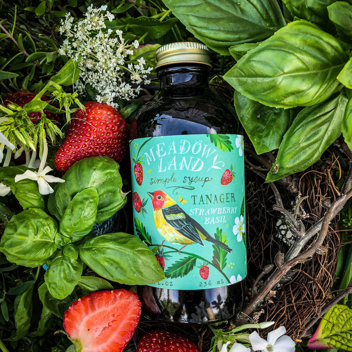 Tanager Strawberry Basil Cocktail Simple Syrup