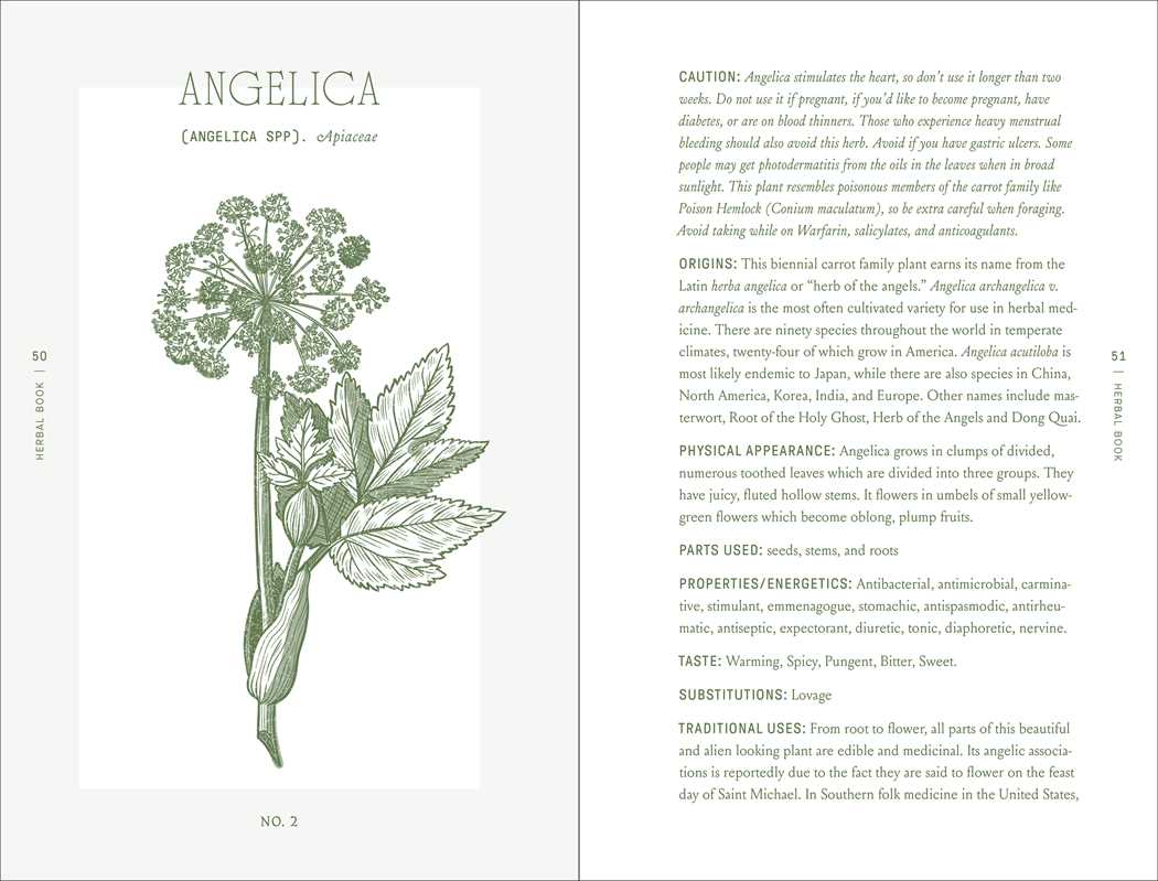 Complete Folk Herbal by Rebecca Beyer-thumbmail-5