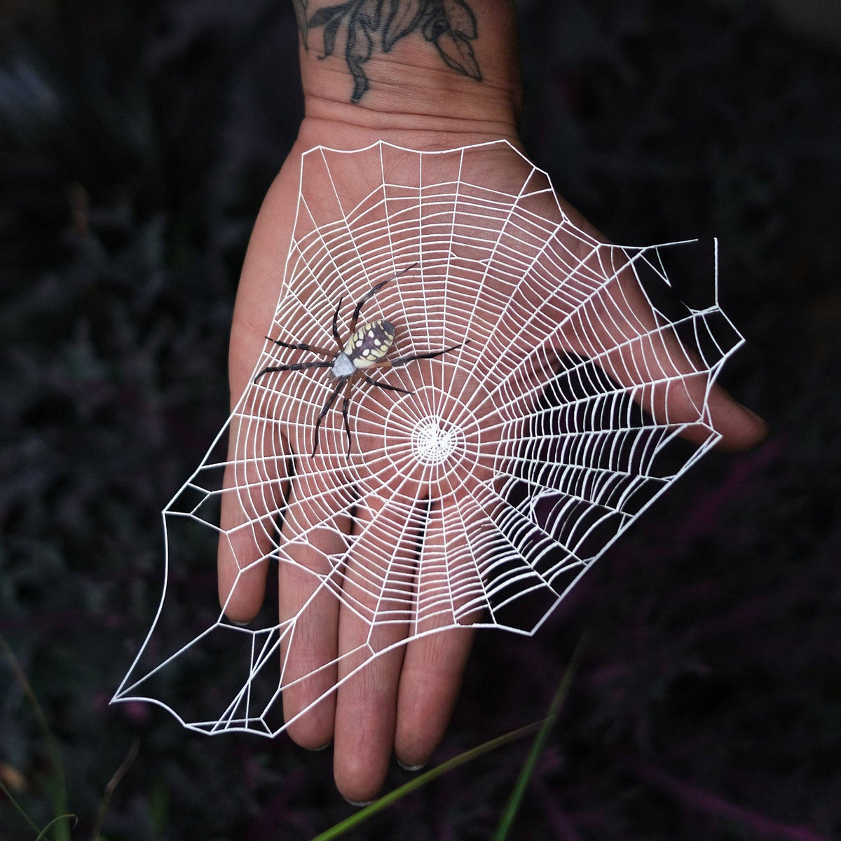 Halloween 'Weaver' Spiderweb & Spider Paper Set-thumbmail-2