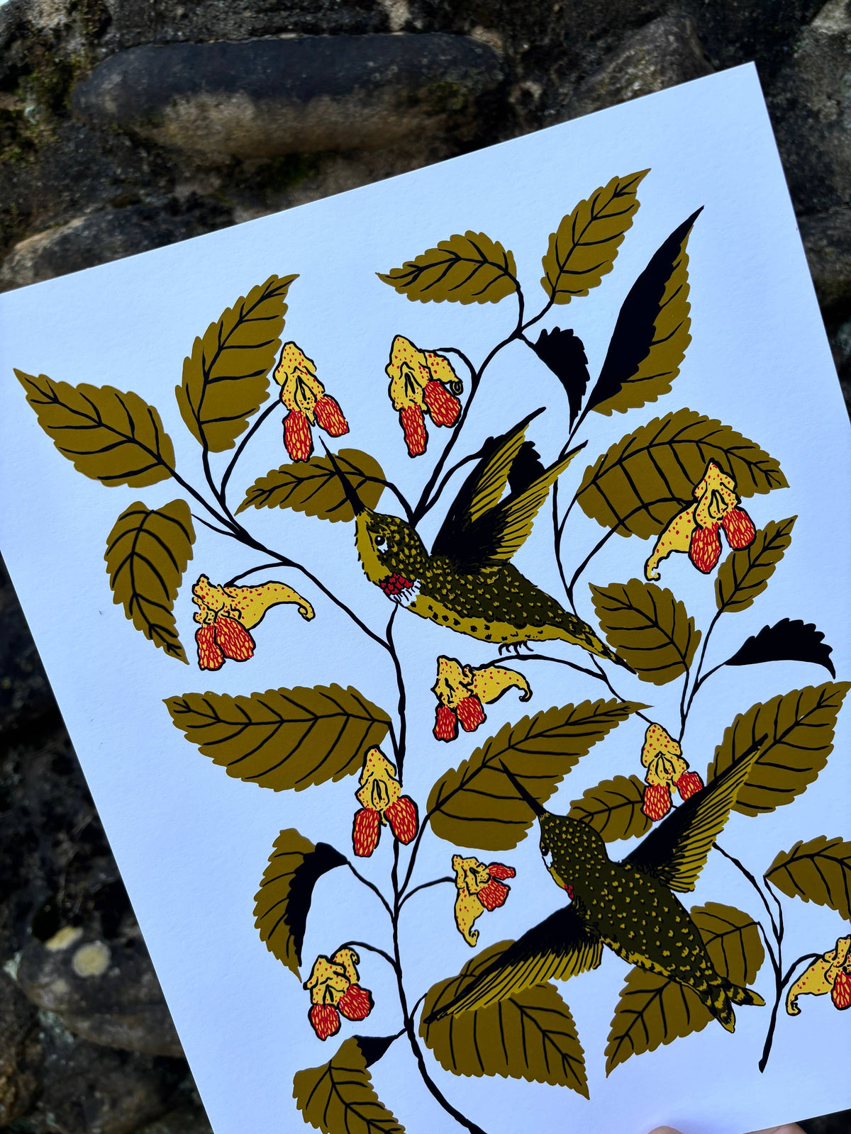 Jewelweed - 14x11 Print-thumbmail-2