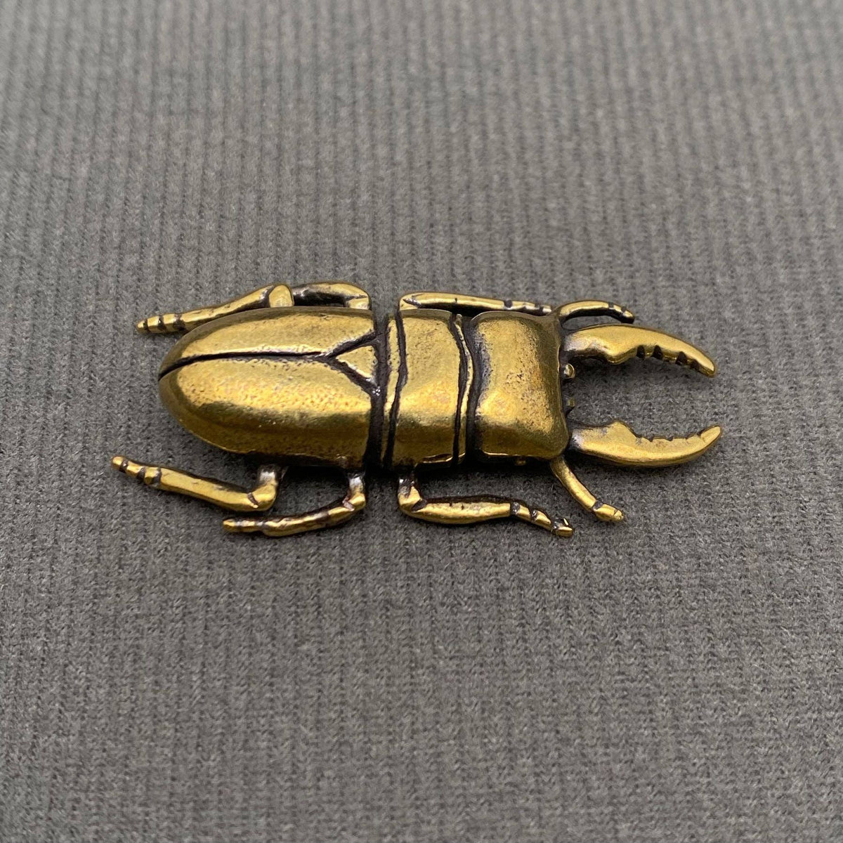 Little Brass Beetle-thumbmail-1