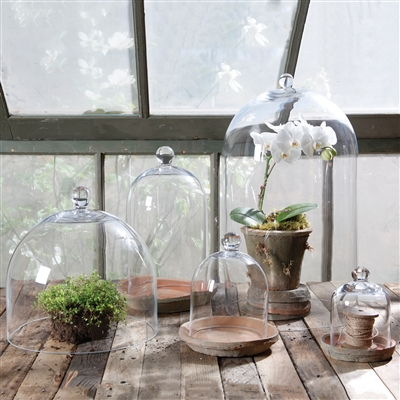Large Glass Dome Cloche-thumbmail-1