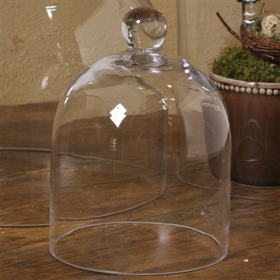 Medium Glass Dome Cloche-thumbmail-1