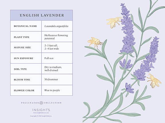 Botanical Stationary Set-thumbmail-8