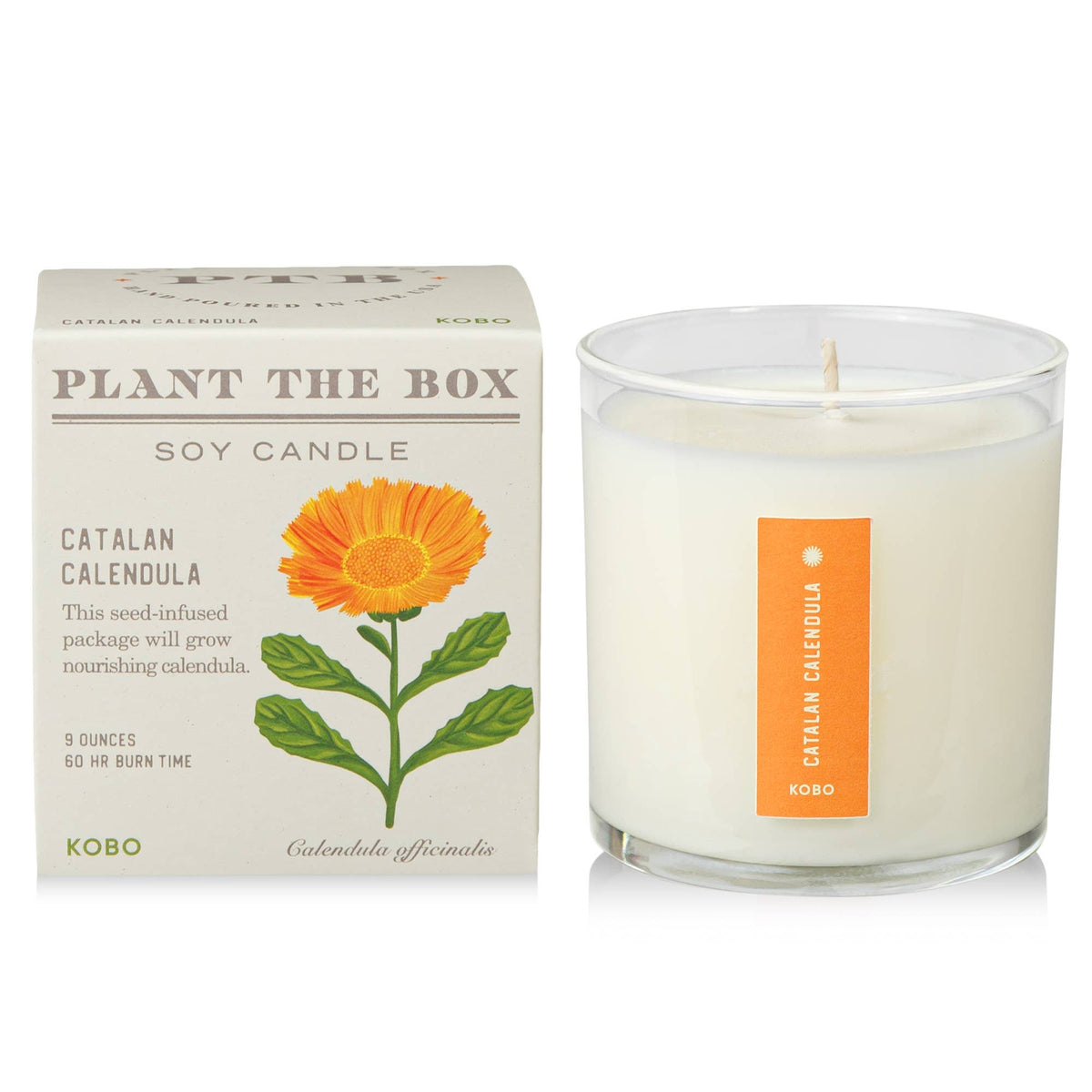Catalan Calendula Candle-thumbmail-2