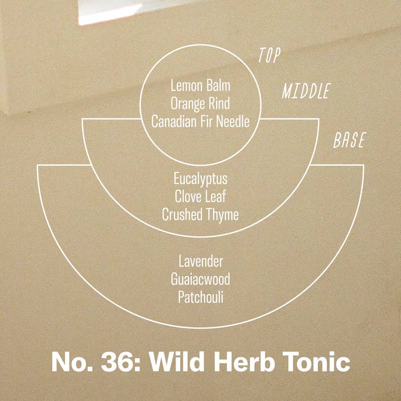 Wild Herb Tonic Reed Diffuser-thumbmail-3