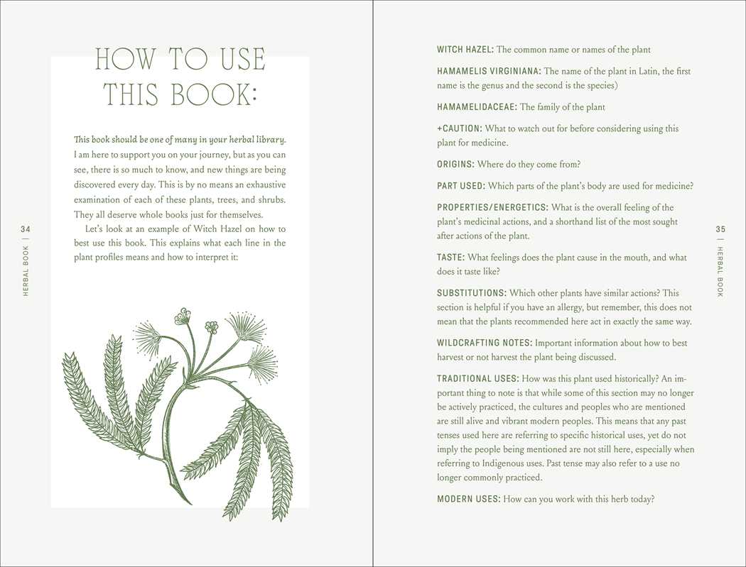 Complete Folk Herbal by Rebecca Beyer-thumbmail-2