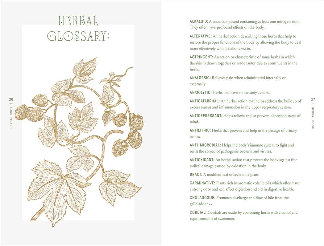 Complete Folk Herbal by Rebecca Beyer-thumbmail-3