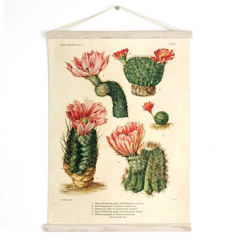 Cactus Hanging Print